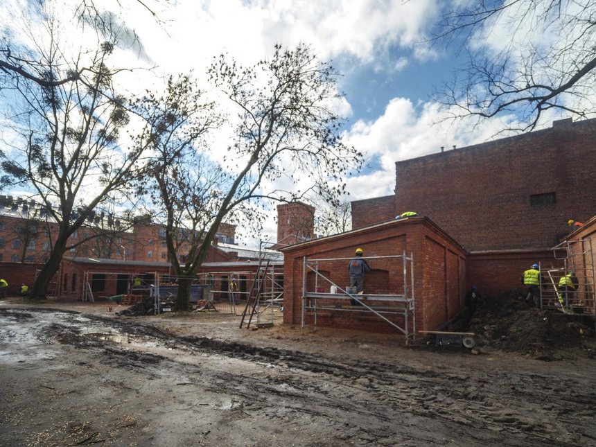 fot. Stefan Brajter / UMŁ