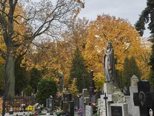 Fot. Radosław Jóźwiak/UMŁ