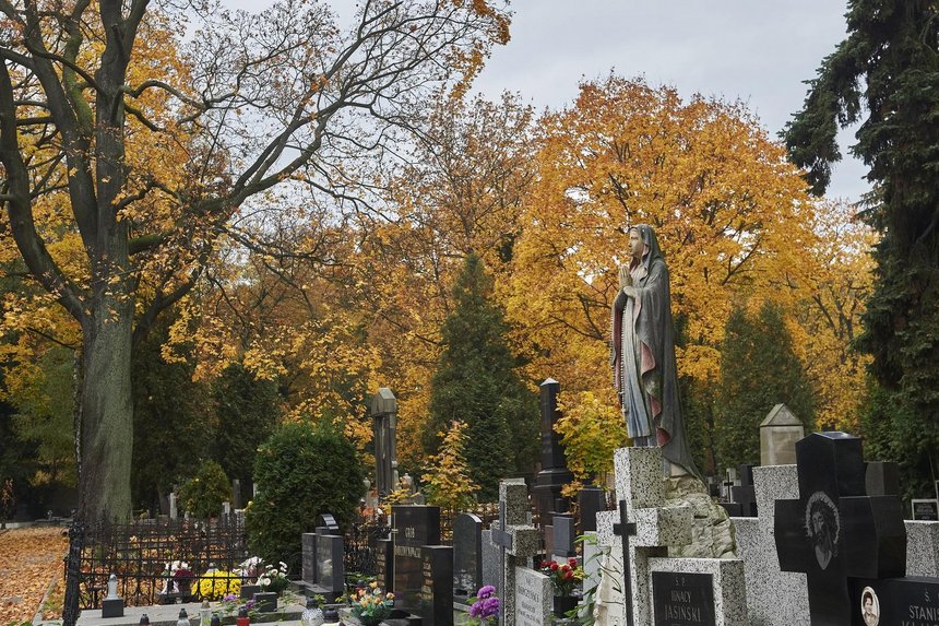 Fot. Radosław Jóźwiak/UMŁ