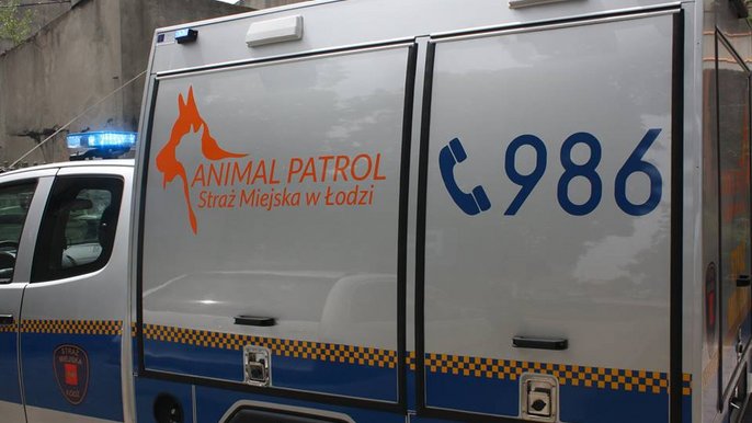 Na pomoc zwierzętom 