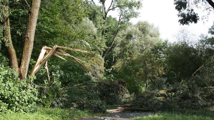 Skutki czwartkowej nawałnicy w Łodzi 