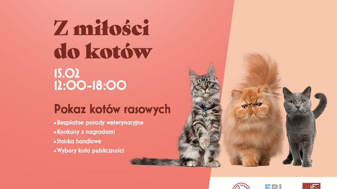 Pokaz kotów - mat. Sukcesja