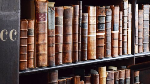 fot. Envato Elements