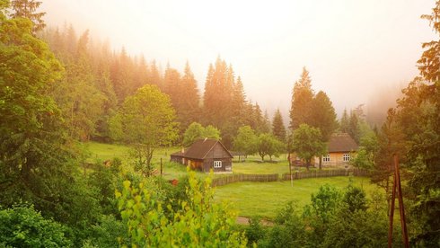 fot. Envato Elements