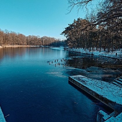 Las Łagiewnicki zimą, fot. ŁÓDŹ.PL