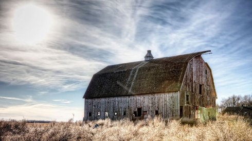 fot. Envato elements