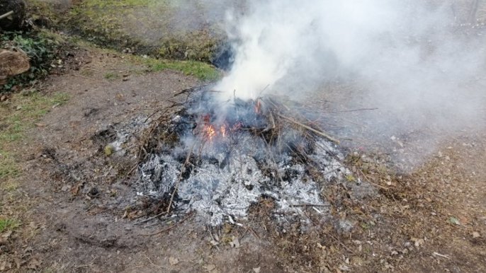 Wypalanie odpadów roślinnych 