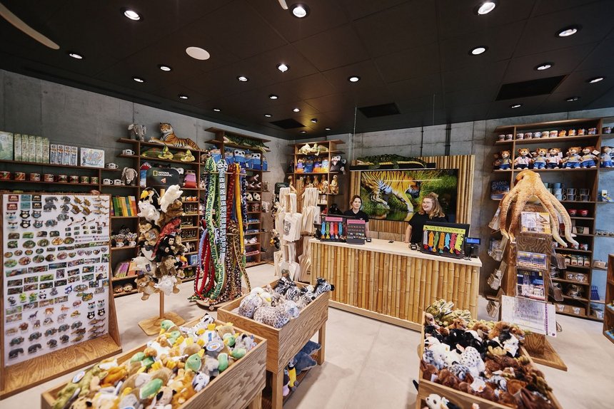 fot. Radosław Jóźwiak