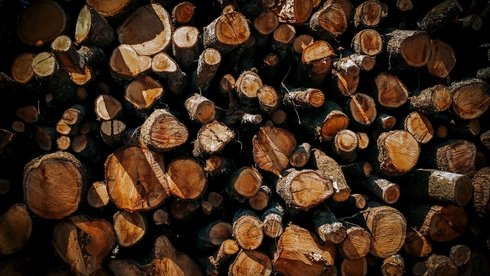 fot. Envato Elements