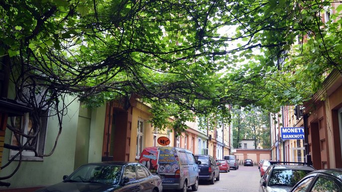 Łódzkie podwórko - fot. ŁÓDŹ.PL