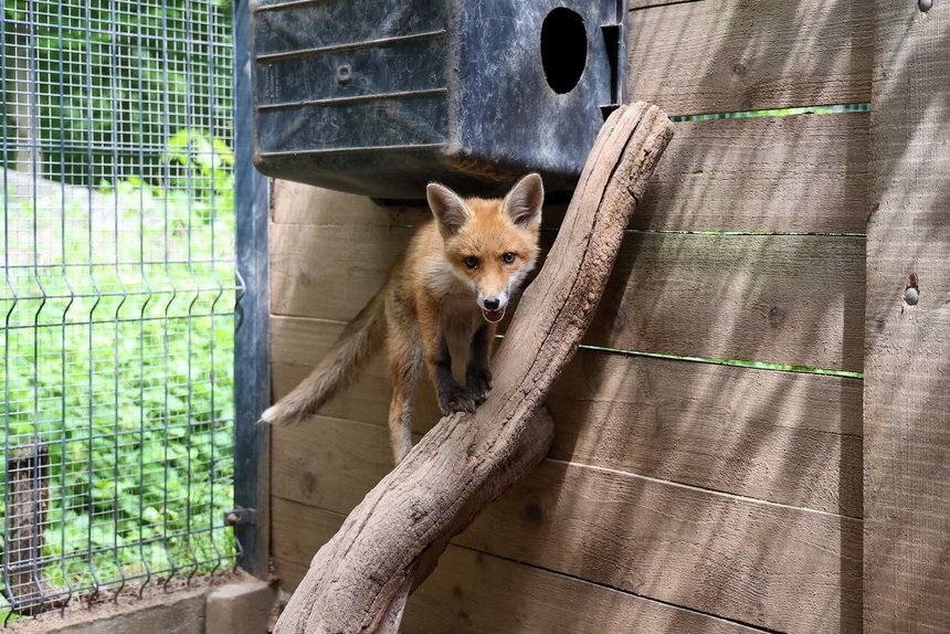 fot. Konrad Ciężki