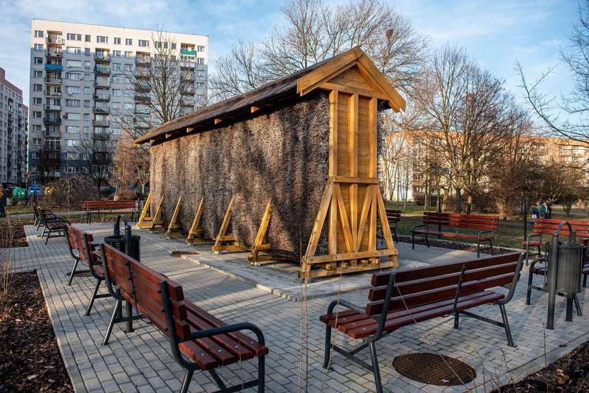 fot. Paweł Łacheta