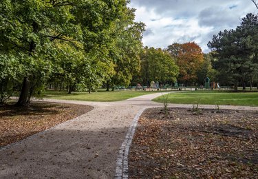 fot. Stefan Brajter / UMŁ