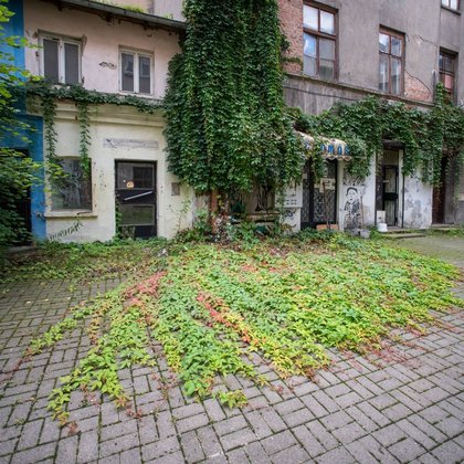 Piotrkowska 118, fot. LODZ.PL