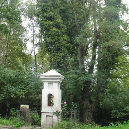 Dolina rzeki Sokołówki, fot. ŁÓDŹ.PL