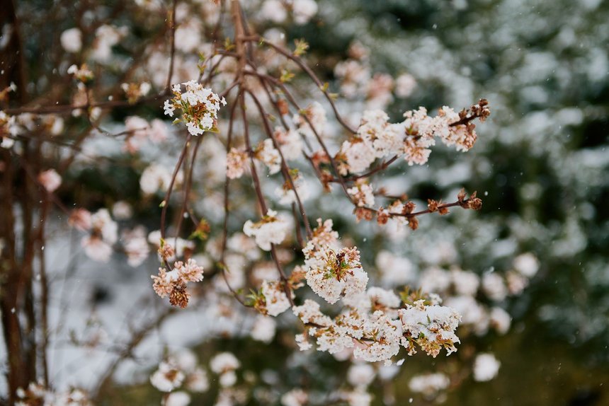 fot. Radosław Jóźwiak