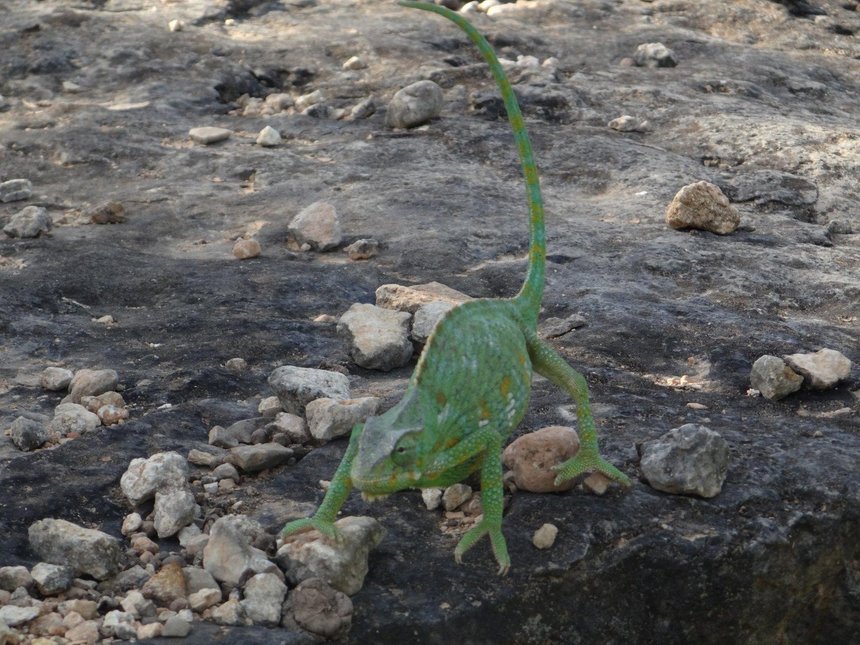 fot. mat. Klub Podróżników Keja