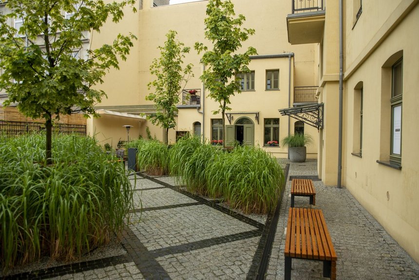 fot. Witold Ancerowicz