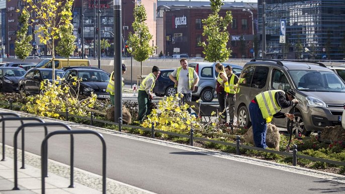 Zazieleni się plac przed Urzędem Marszałkowskim i D.H. Central - fot. Stefan Brajter / UMŁ