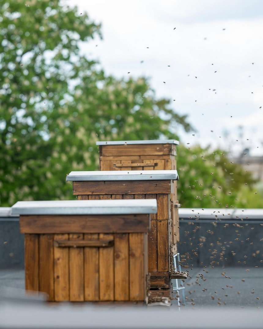 fot. Paweł Łacheta / UMŁ