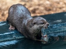 fot. Łódź.pl / Paweł Łacheta