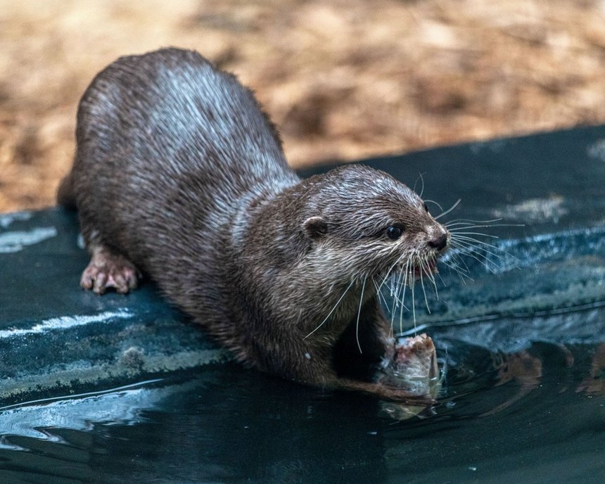 fot. Łódź.pl / Paweł Łacheta