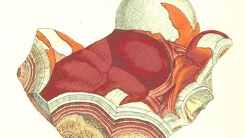 Kartografie ekozofii - seminarium Agnieszki Kotwasińskiej w ms1 -  fot. mat. pras. Muzeum Sztuki w Łodzi