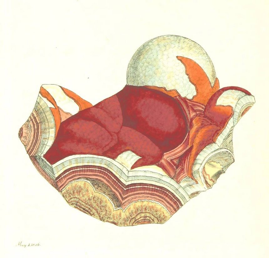 fot. mat. pras. Muzeum Sztuki w Łodzi