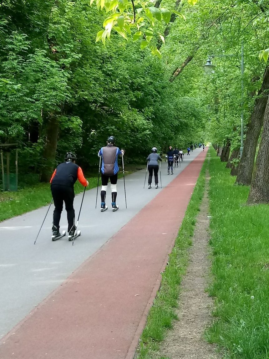 fot. Zielona Łódź