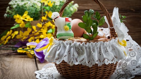 fot. Envato Elements