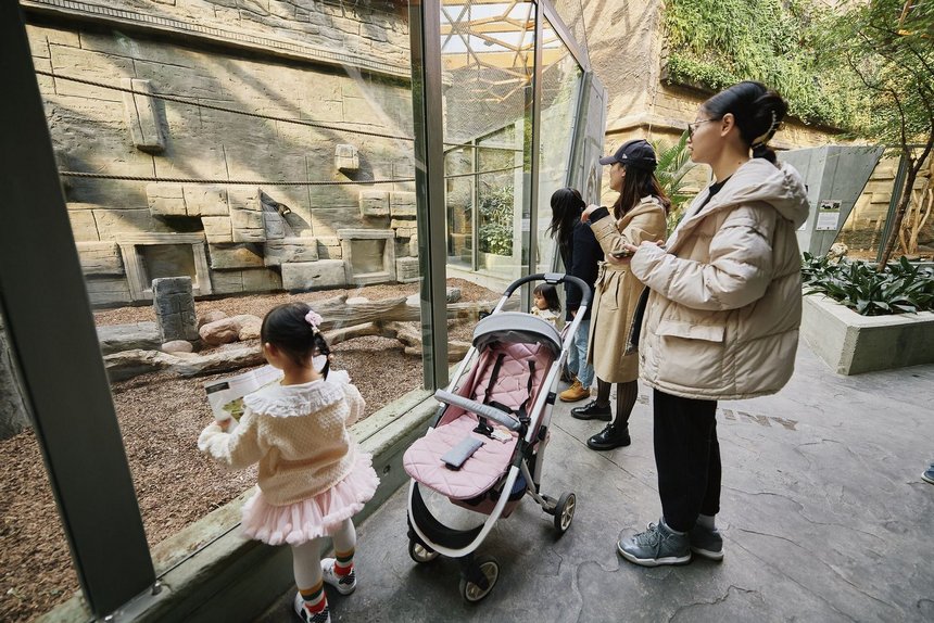 fot. Radosław Jóźwiak