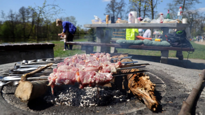  - Na pierwszym planie widać mięsne szaszłyki na palenisku grillowym, na drugim planie widać stół bogato zastawiony jedzeniem i piciem na Stawach Stefańskiego