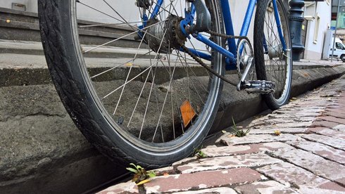 fot. Wojciech Markiewicz / UMŁ