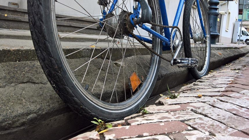 fot. Wojciech Markiewicz / UMŁ