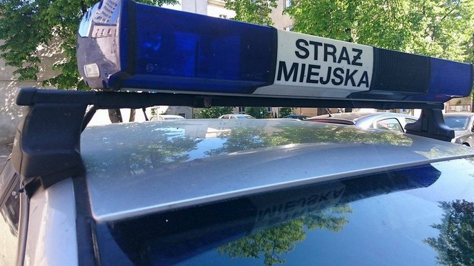 Działania patroli w terenie 