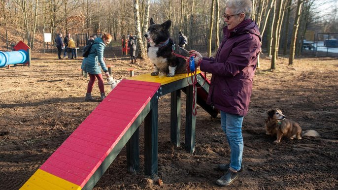 Psi Park położony jest nieopodal skateparku im. Igora Kowalewskiego (okolice ul. Augustów 17/19). - fot. Paweł Łacheta