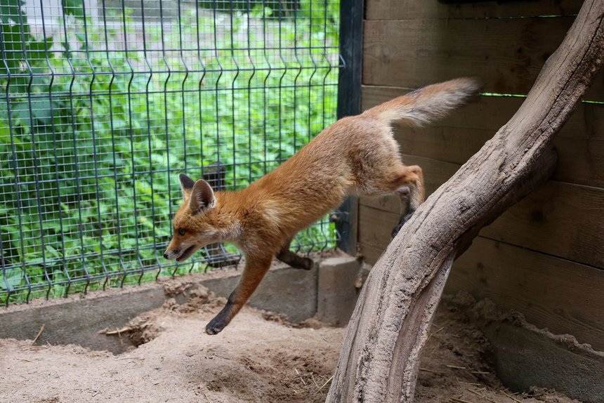 fot. Konrad Ciężki