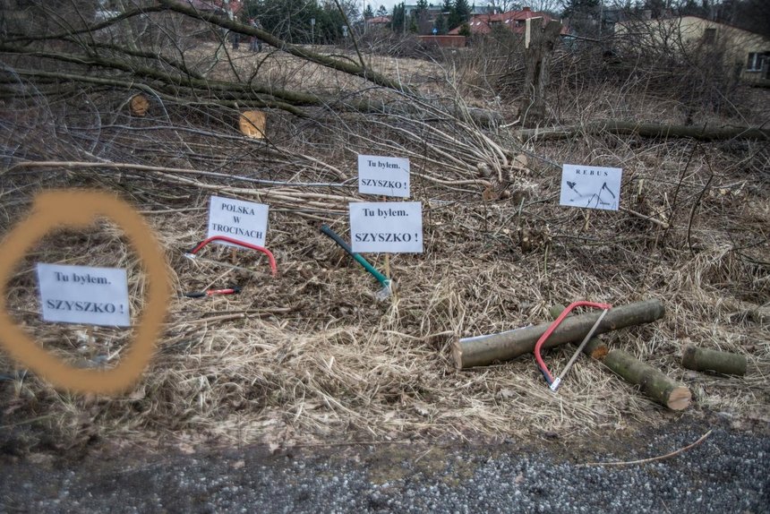 Witold Ancerowicz, UMŁ