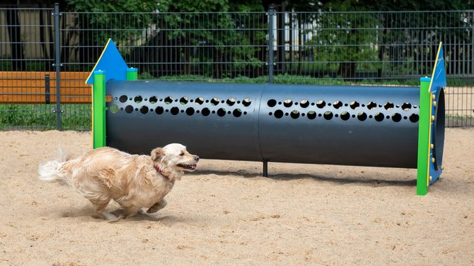 Psi park - fot. LODZ.PL