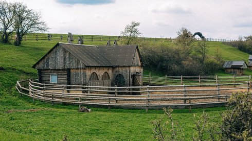 fot. Envato Elements