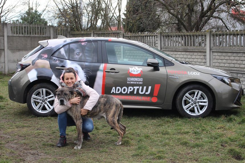 mat. Schronisko dla zwierząt