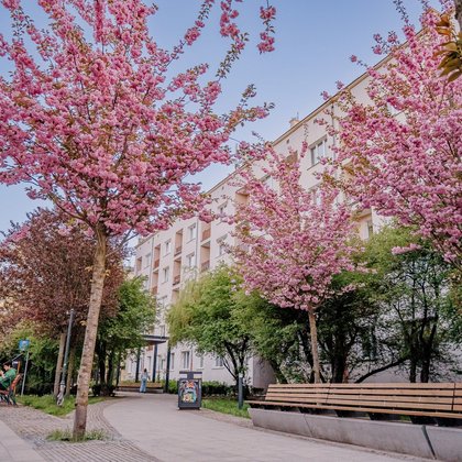 Odnowione kamienice, skwery i parki