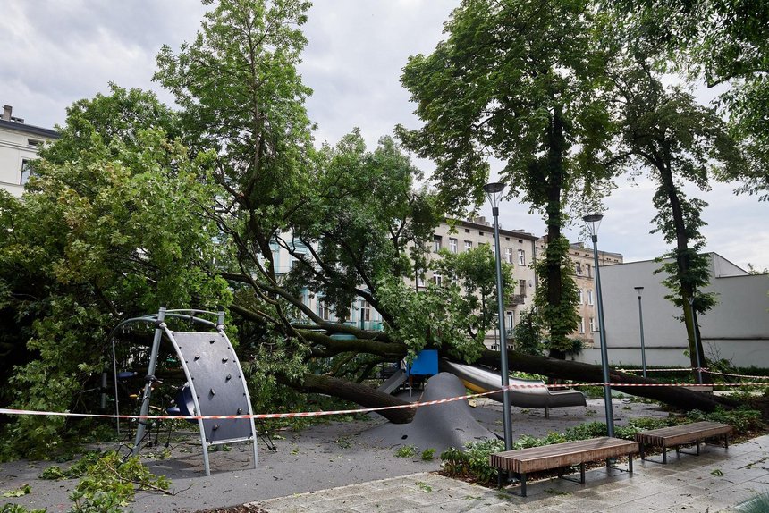 fot. Radosław Jóźwiak / UMŁ