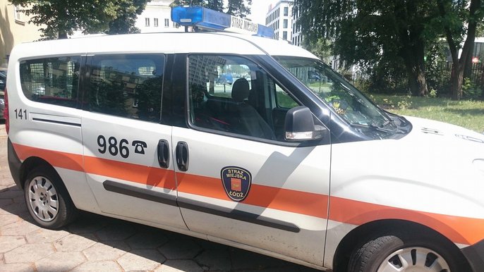 Interwencje w Lany Poniedziałek 