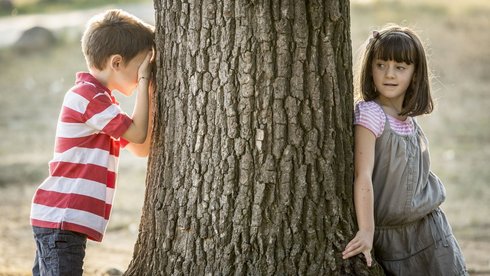 fot. Envato Elements