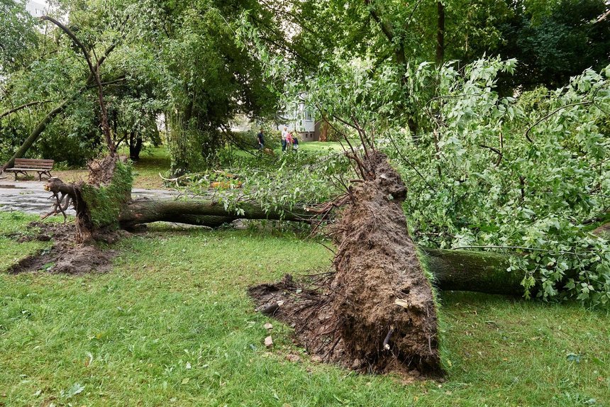 fot. Radosław Jóźwiak / UMŁ