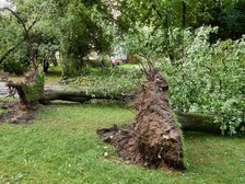 fot. Radosław Jóźwiak / UMŁ