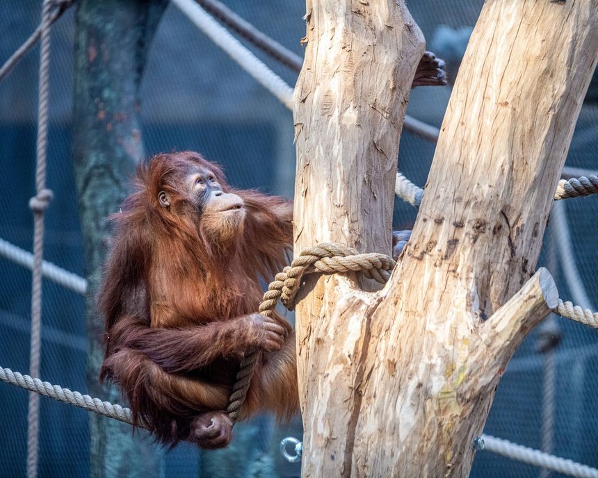 fot. Orientarium w Łodzi