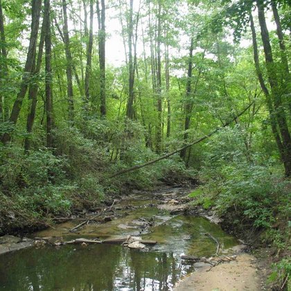 Dolina rzeki Sokołówki, fot. ŁÓDŹ.PL