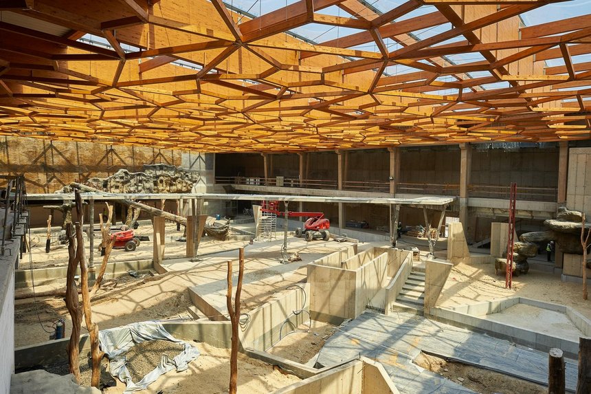 fot. Radosław Jóźwiak / UMŁ